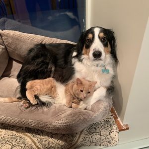 Meet your Posher, Kelley